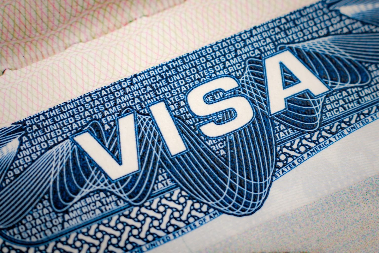 Visa consultation and application process